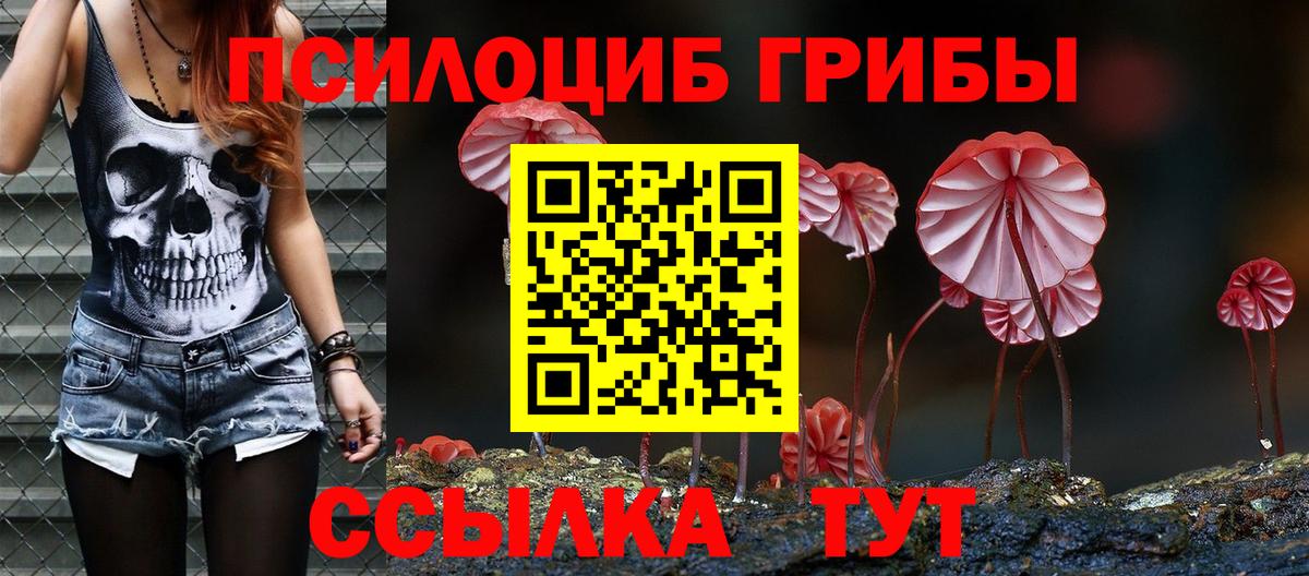 Галлюциногенные грибы Psilocybe  Псилоцибиновые грибы GOLDEN TEACHER  Переславль-Залесский  Вход с VPN 