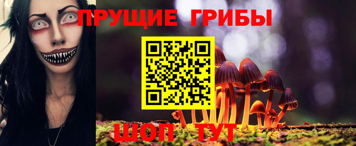 Псилоцибиновые грибы Cubensis Переславль-Залесский